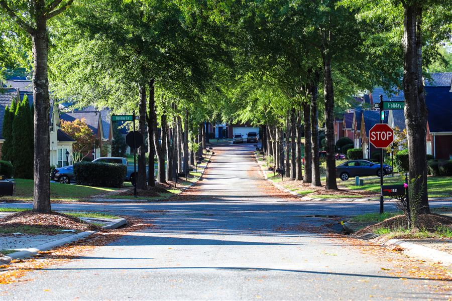 Established neighborhood street shaded by mature trees